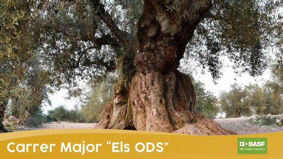 oliverars monumentals