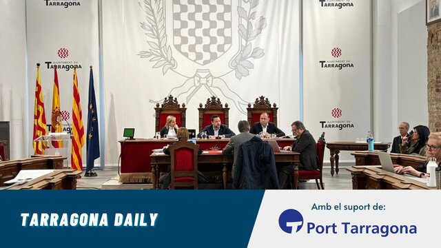 plenari febrer ajuntament viñuales